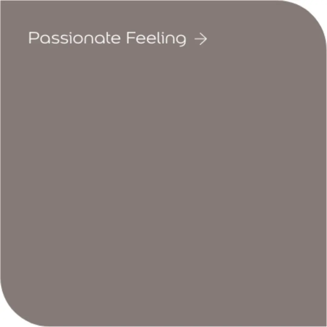 Levi's Colores del Mundo Muurverf Passionate Feeling - 1L