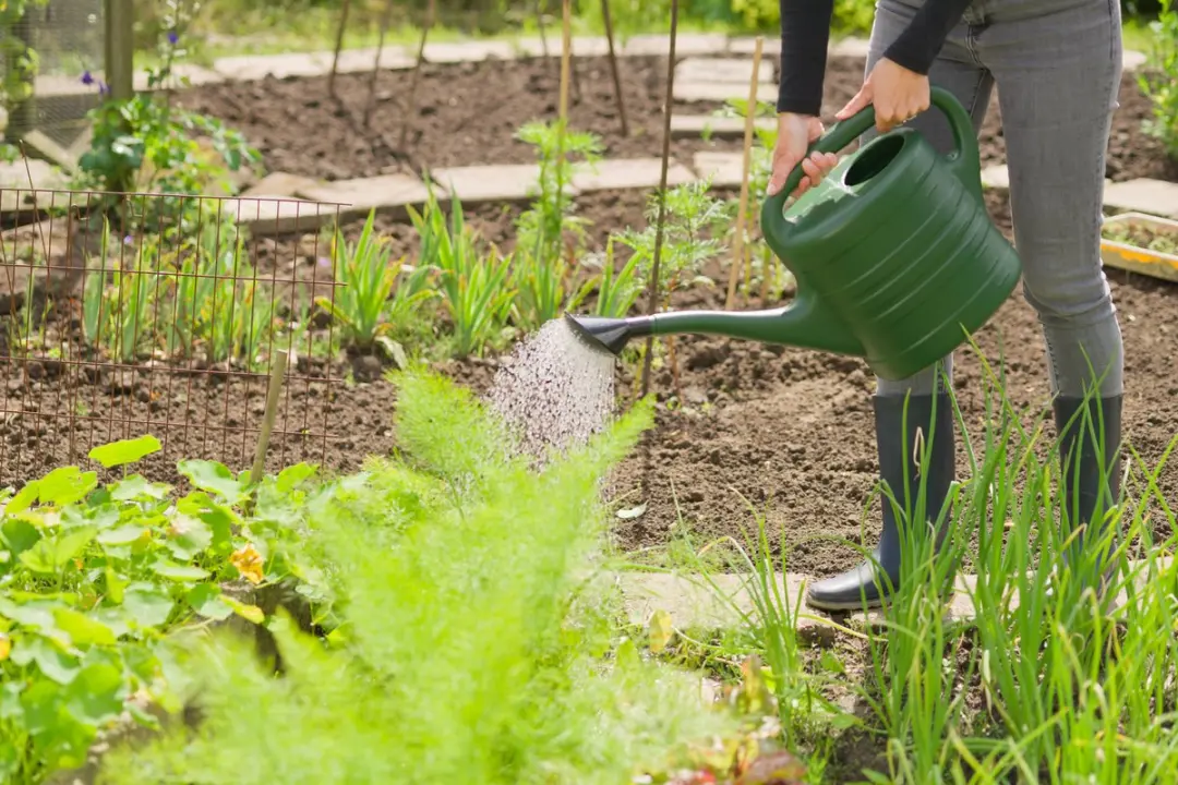 Nature Gieter 10L - Donkergroen - met broeskop