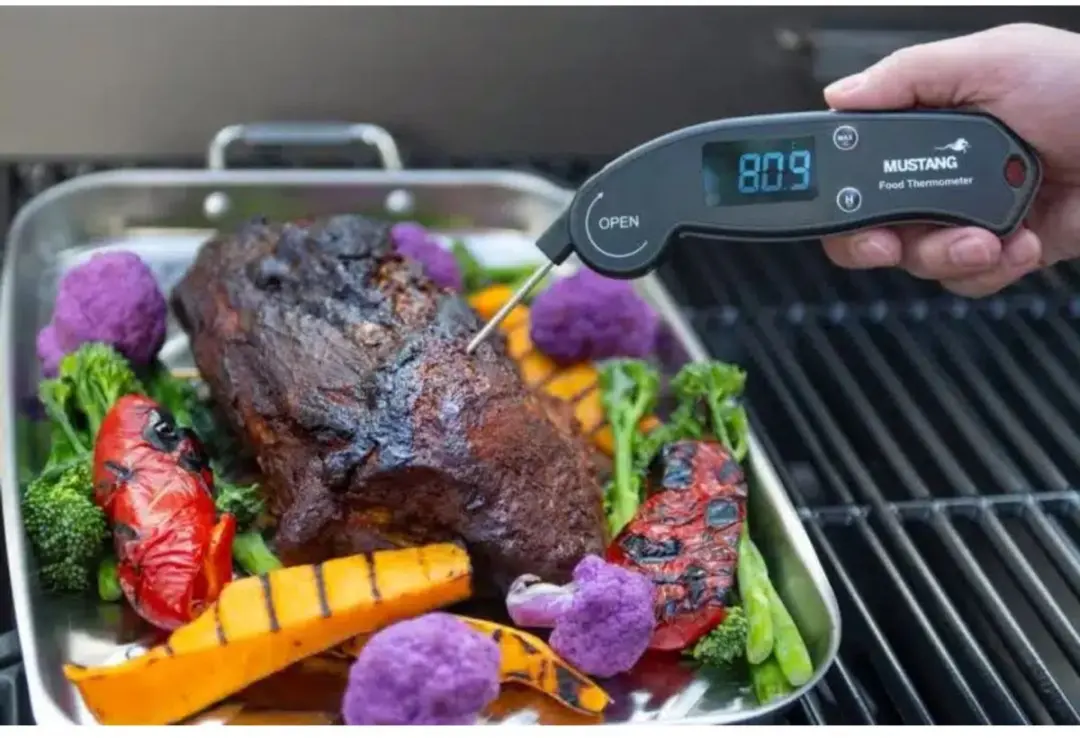 Mustang Digitale Keukenthermometer