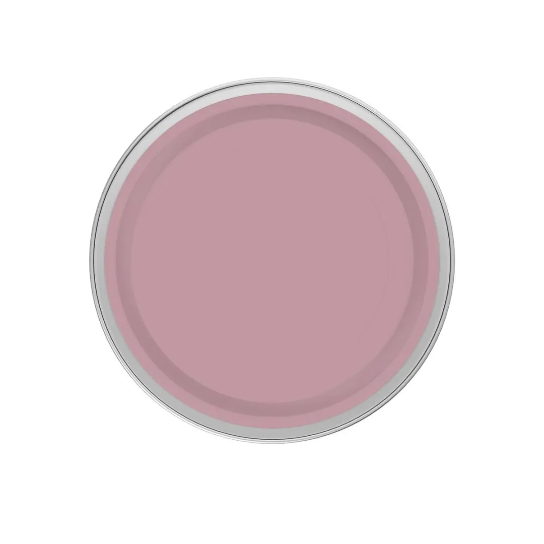 Levi's Easyclean Tegen Zwarte Strepen Mengverf 2,5L - Shady Red A30