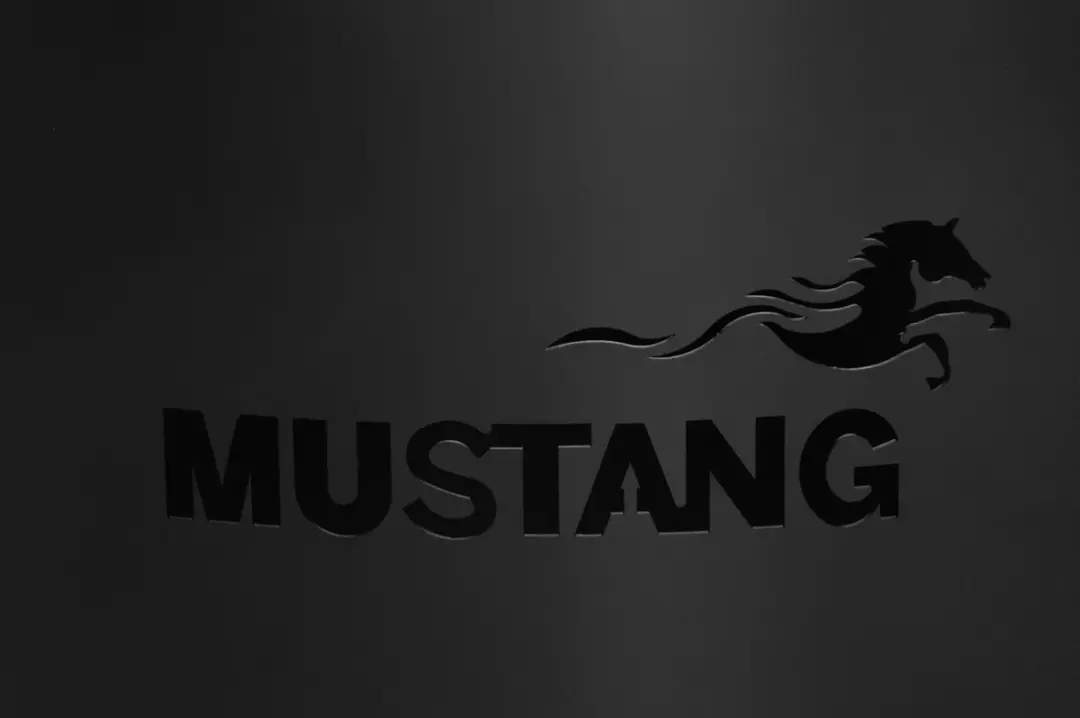 Mustang Oakdale Tuinhaard Barbecue - Zwart - Ø60cm