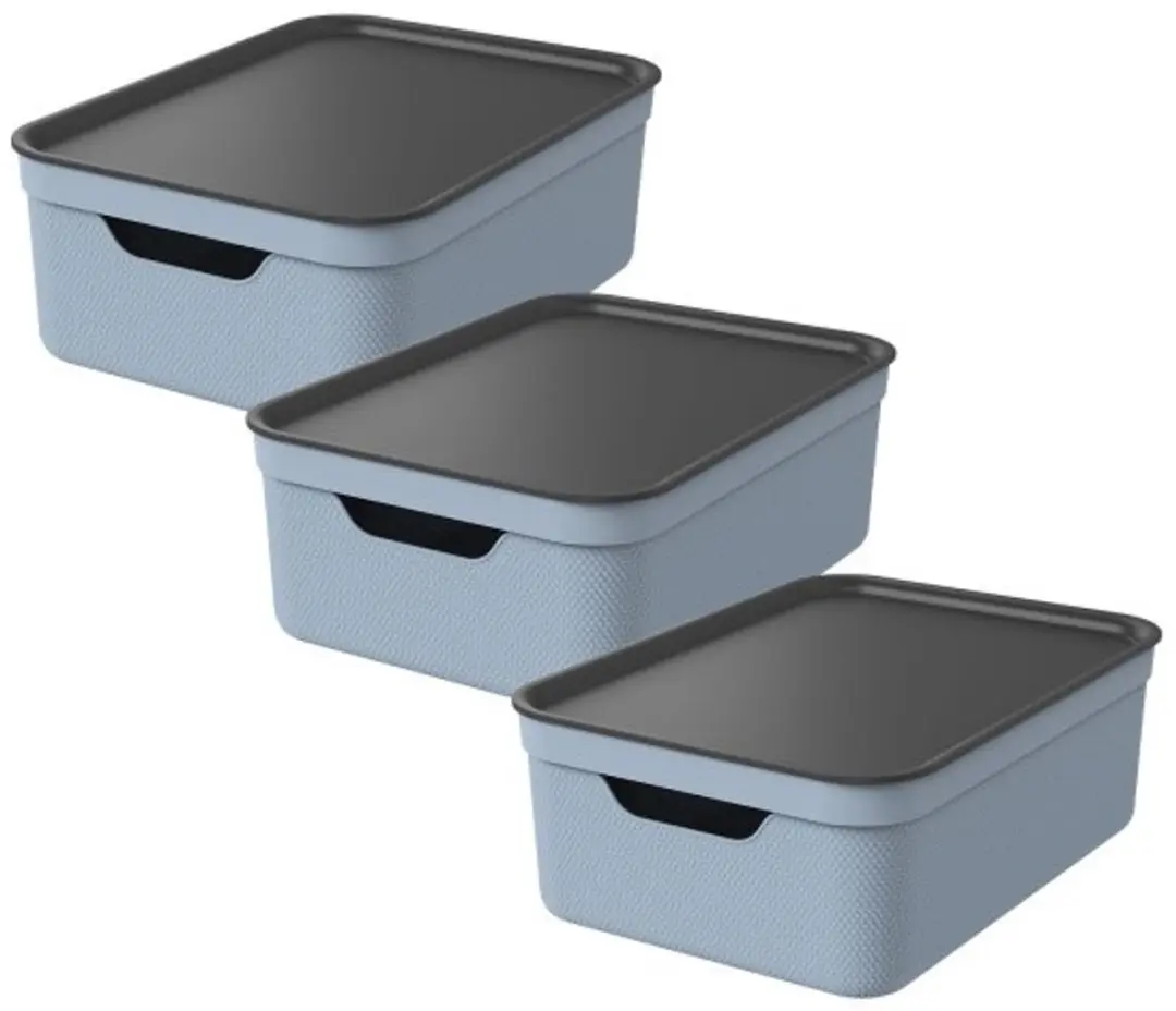 Rotho Jive Opbergboxen Set 3x10L