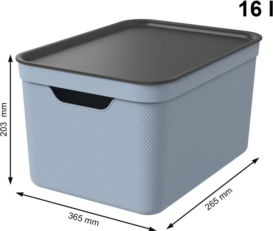 Rotho Jive Opbergboxen 3x16L - Blauw/Antraciet - afbeelding 4 van 4