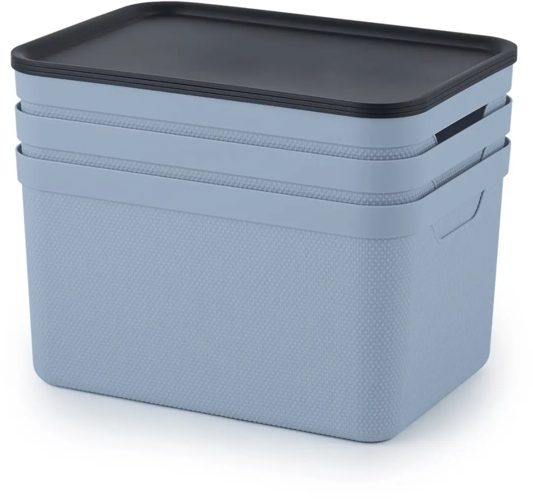 Rotho Jive Opbergboxen 3x16L - Blauw/Antraciet - afbeelding 2 van 4