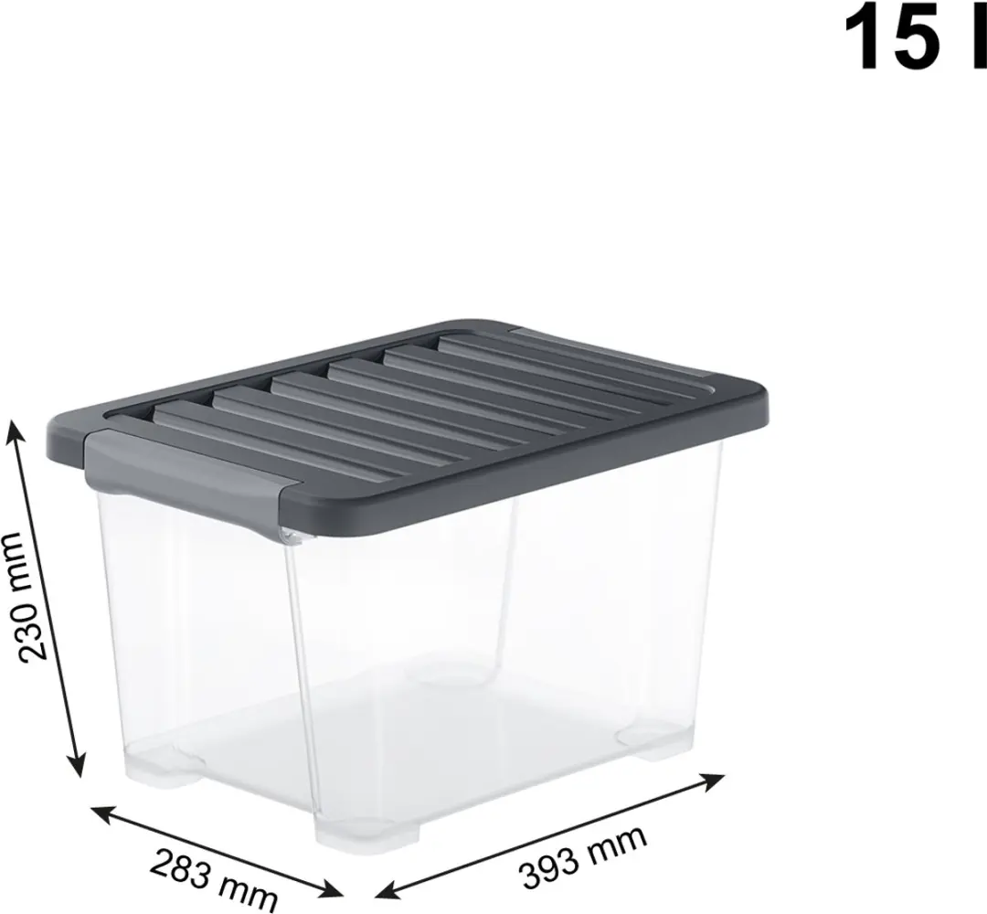 Rotho CORE Pro Opbergboxen - 4x15L Transparant/Zwart
