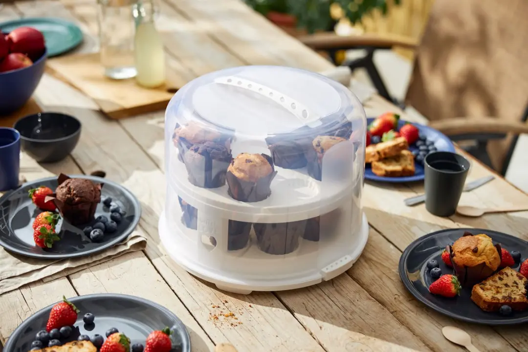 Rotho Fresh Taartdoos XL - 3 Trays - BPA-vrij - Wit