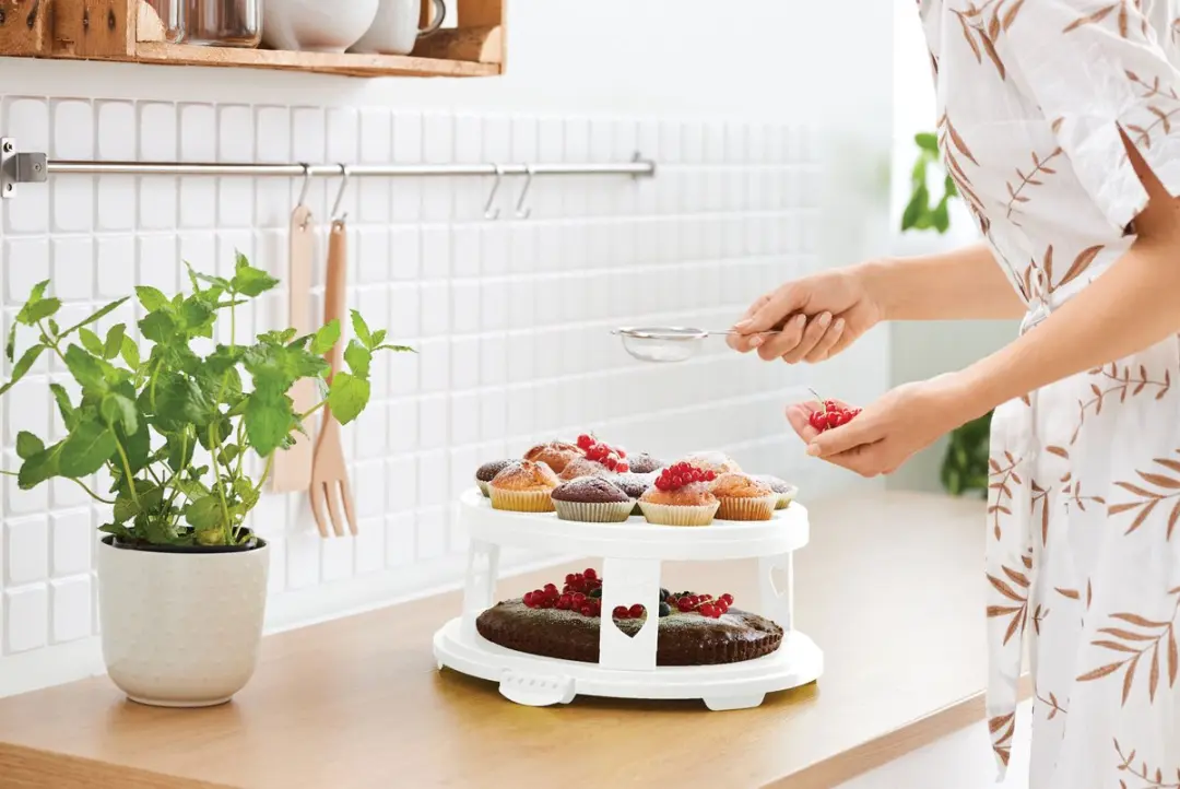 Rotho Fresh Taartdoos XL - 3 Trays - BPA-vrij - Wit