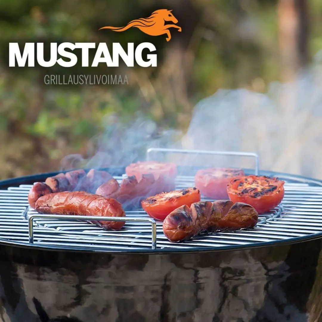 Mustang BBQ Gereedschap Pro Set - 3-delig RVS