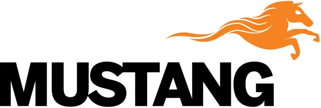 Mustang Universele Rotisseriekit 312849 - Draaispit voor Barbecue - Grijs
