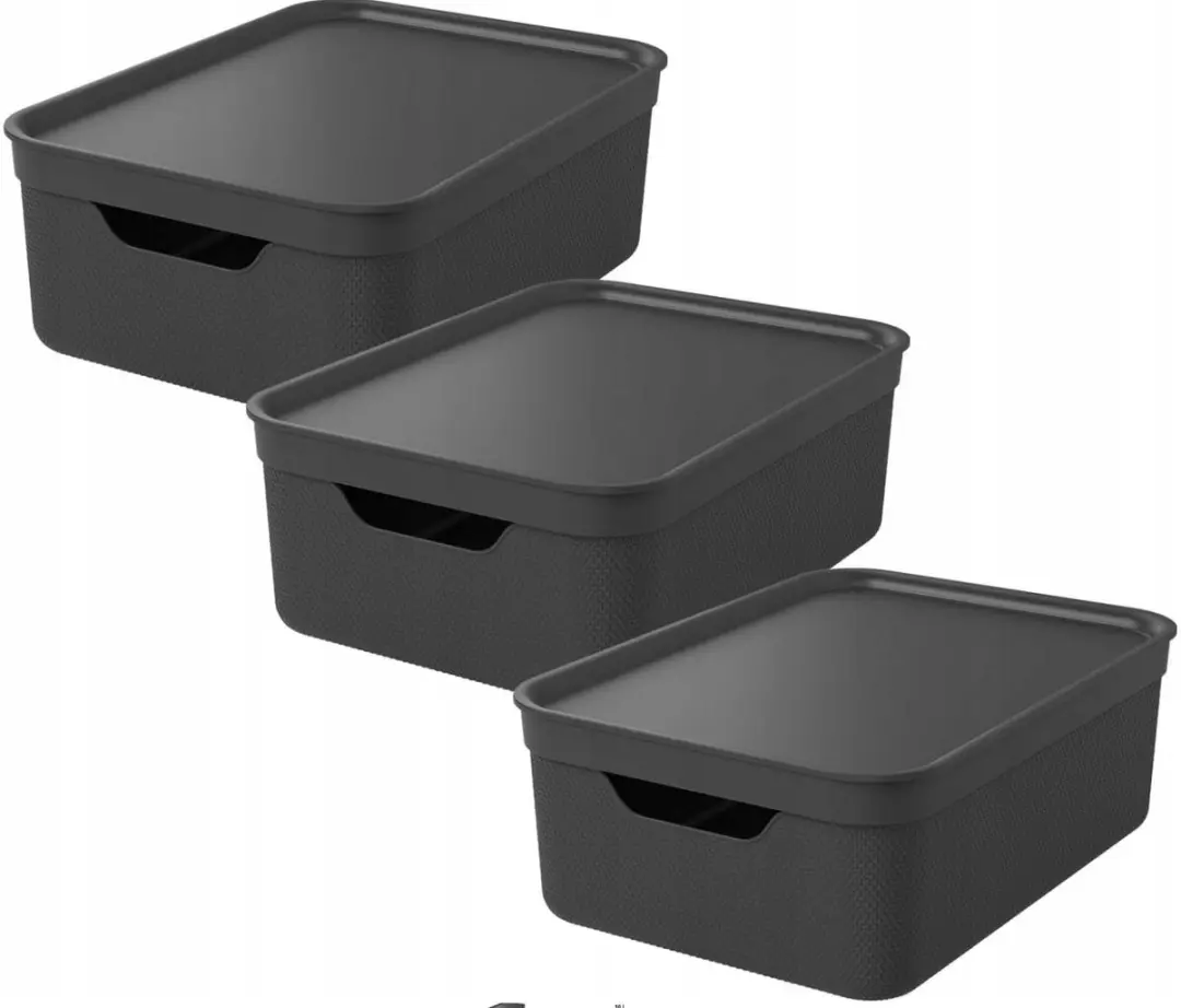 Rotho Jive Opbergboxen 3x10L