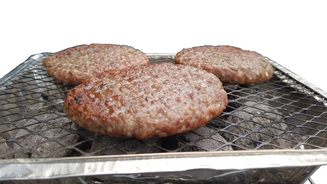 Mustang Wegwerp BBQ 22cm - 4 Hamburgers - Aluminium