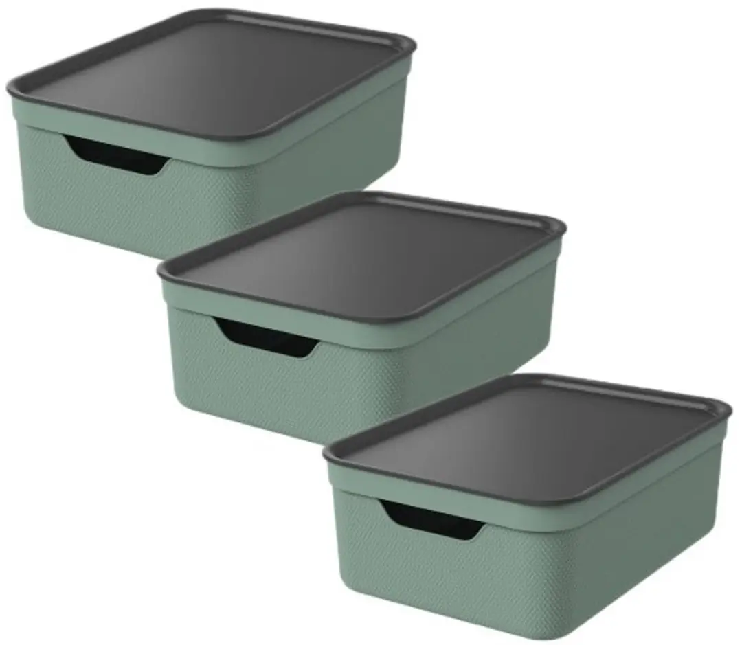 Rotho Jive Opbergboxen Set 3x10L