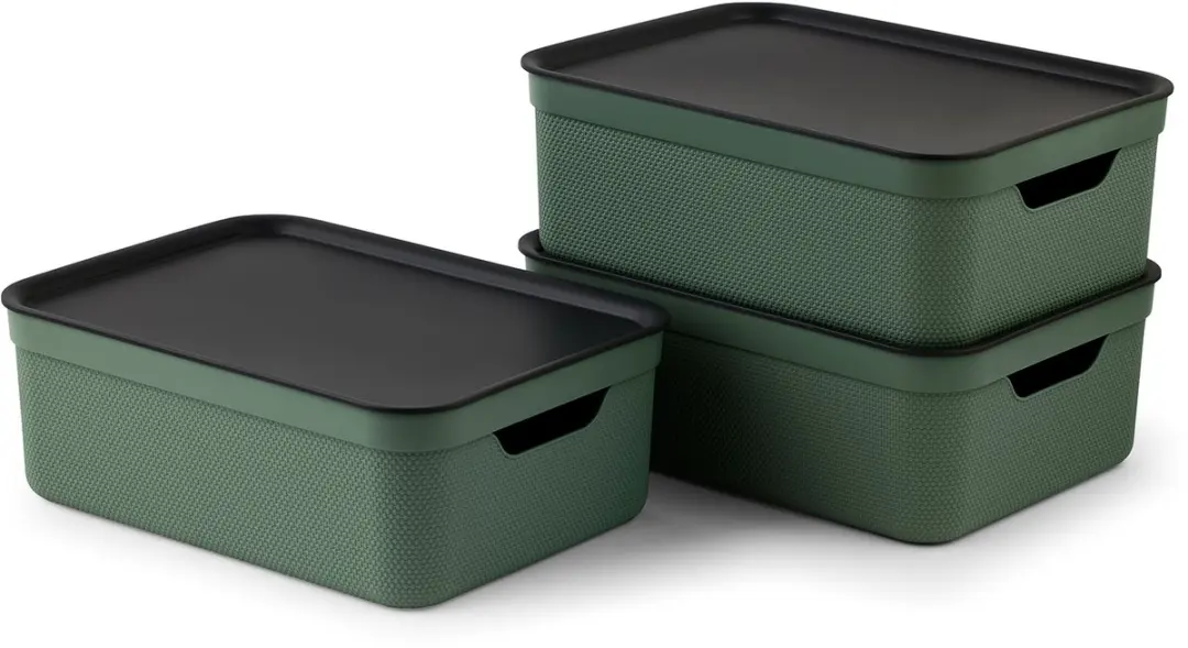 Rotho Jive Opbergboxen Set 3x10L - Groen/Antraciet