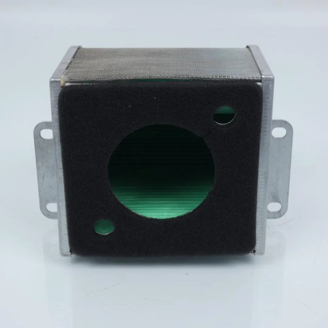 Champion Luchtfilter 500 DS