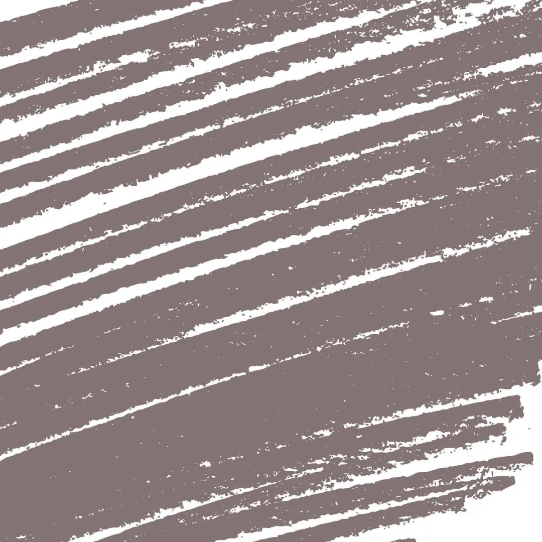 L'Oréal Paris Color Riche Oogschaduw 03 Smoky Taupe