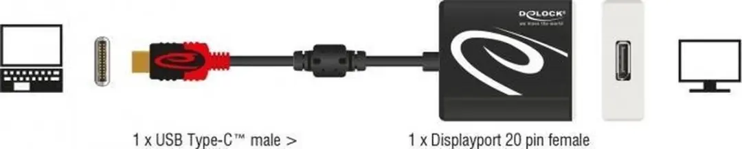 Delock USB-C naar DisplayPort Adapter 4K 60Hz - 0,20m - Zwart