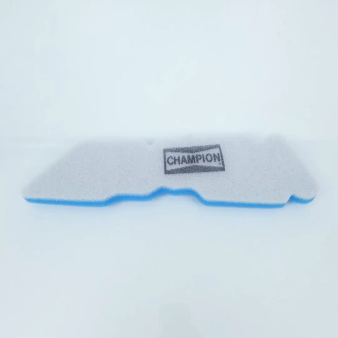 Champion Filtre à air CAF4208DS