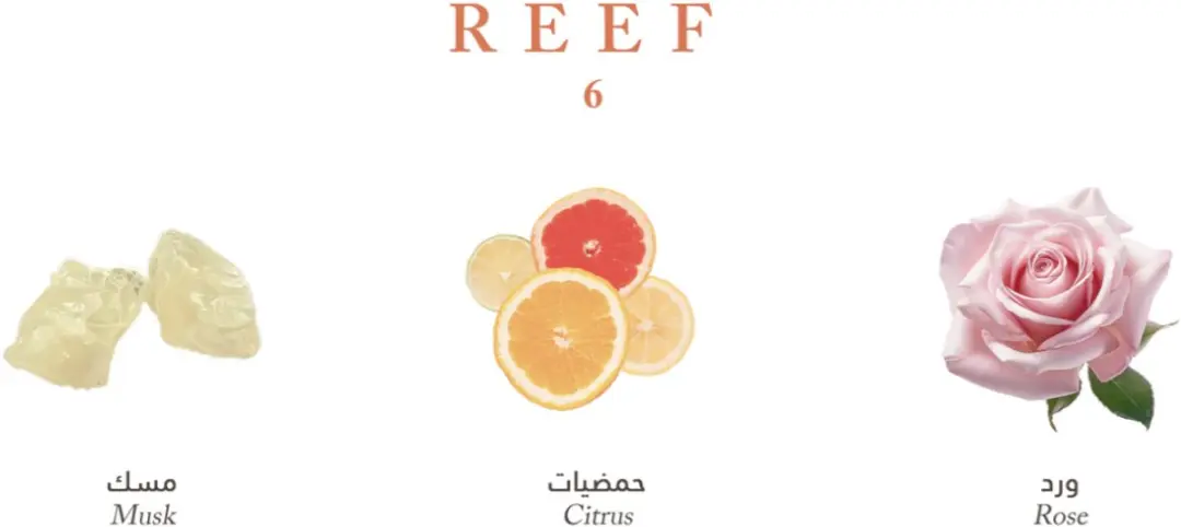 Reef 6 Eau de Parfum 100ml - Unisex