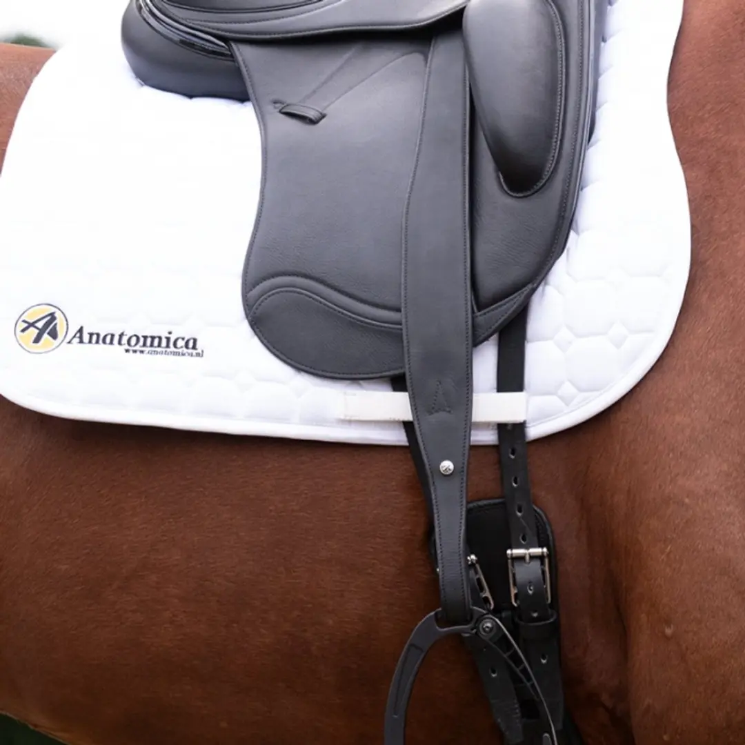 Anatomic Welfare Mono Fender 2.0 Beugelriemen 65