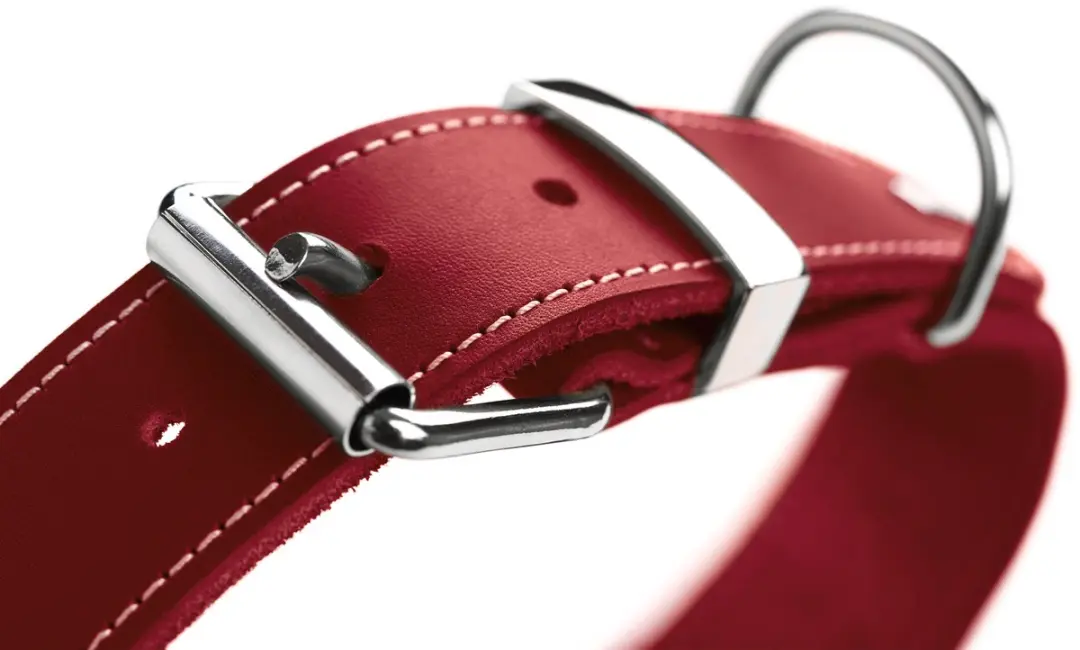 Hunter Hondenhalsband Aalborg Special Rood Maat 75