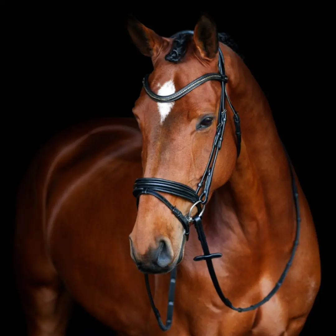 Anatomic Welfare Athene Trenshoofdstel Full