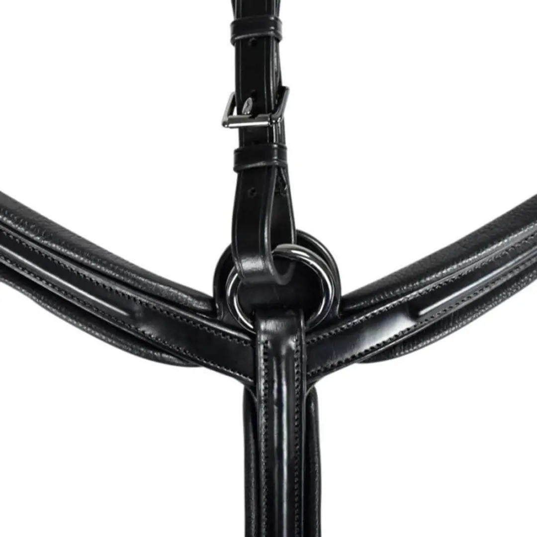 Anatomic Welfare Athene Borsttuig - Cob - Black