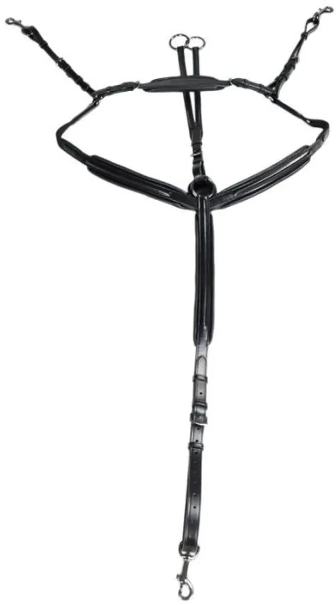 Anatomic Welfare Athene Borsttuig - Cob - Black