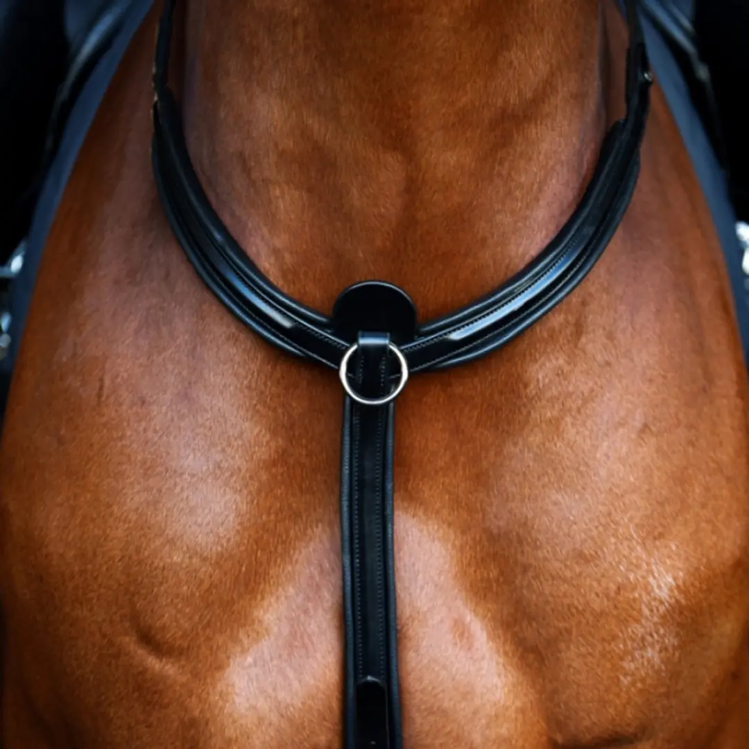 Anatomic Welfare Athene Borsttuig - Cob - Black