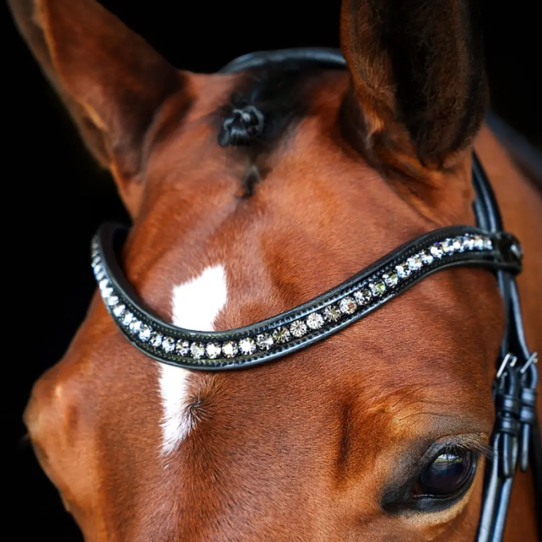 Anatomic Welfare Preciosa Frontriem - Cob - Nightfall