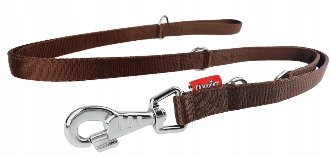 Champion Verstelbare Hondenlijn 3m x 2.5cm - Bruin