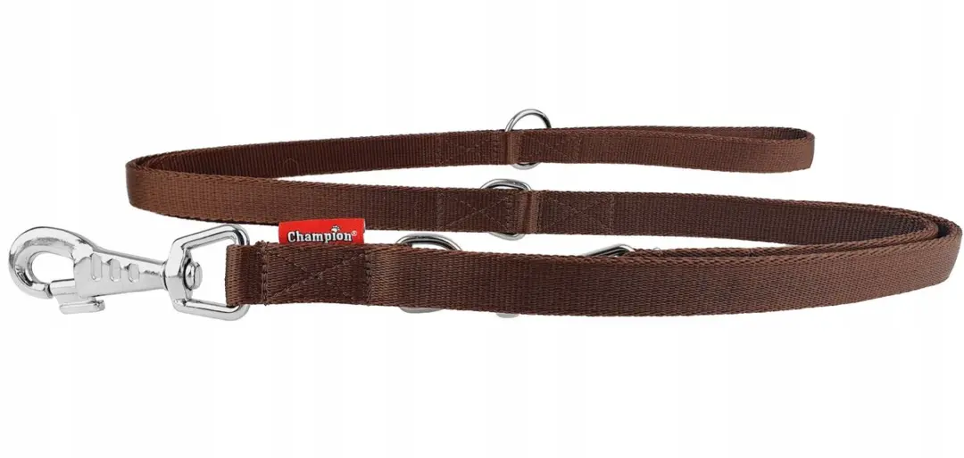 Champion Verstelbare Hondenlijn 3m x 2.5cm