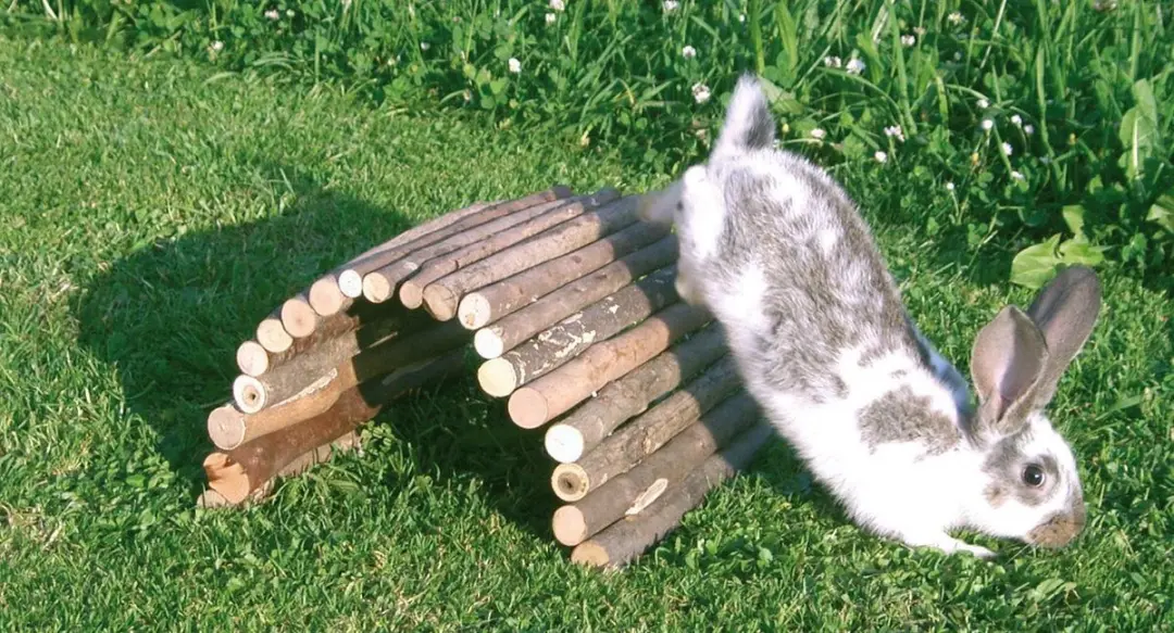 Kerbl Houten Knaagdierbrug 160x270mm - Naturel
