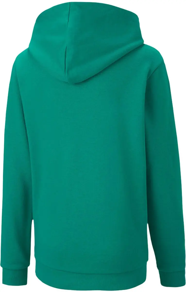 PUMA TeamGOAL 23 Casuals Hoody Jr - 116 Groen