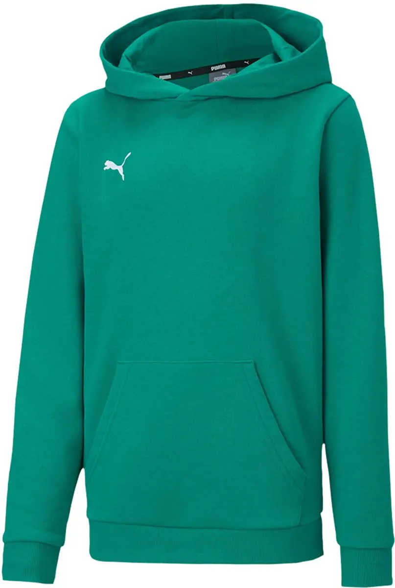 PUMA TeamGOAL 23 Casuals Hoody Jr