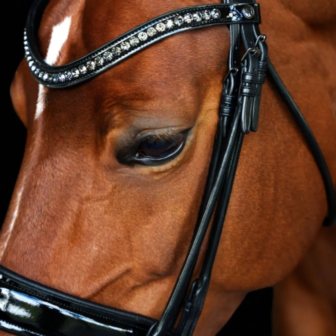 Anatomic Welfare Preciosa Frontriem - Full - Nightfall