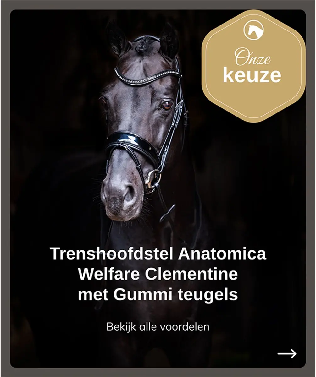 Anatomic Welfare Clementine Trenshoofdstel