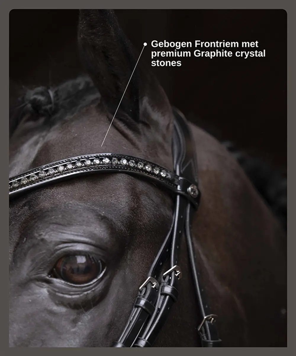 Anatomic Welfare Clementine Trenshoofdstel - Cob - Zwart