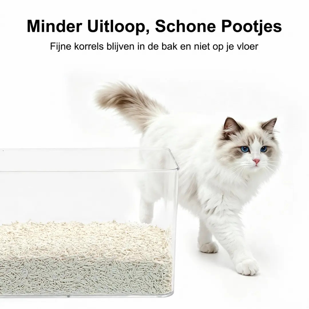Photonspace Tofu Kattenbakvulling - 36L (6x6L) - Klontvormend