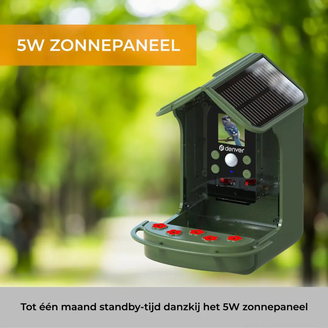 Denver Vogelhuisje met Camera BFC1200 - Full HD 12MP - Groen - afbeelding 3 van 6
