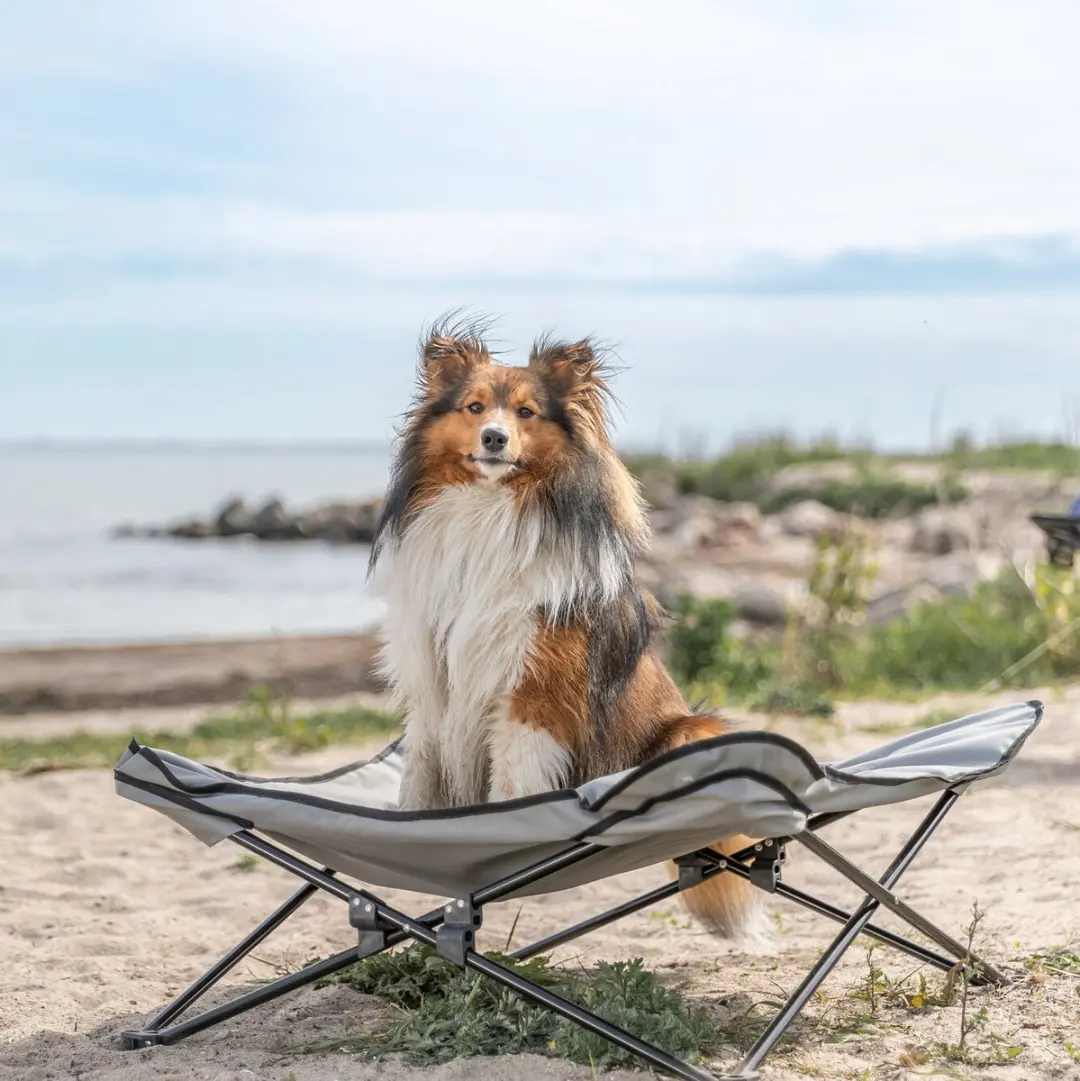 Trixie Stretcher Voor Hond 69x69x20cm - Donkergrijs/Zwart - afbeelding 6 van 6