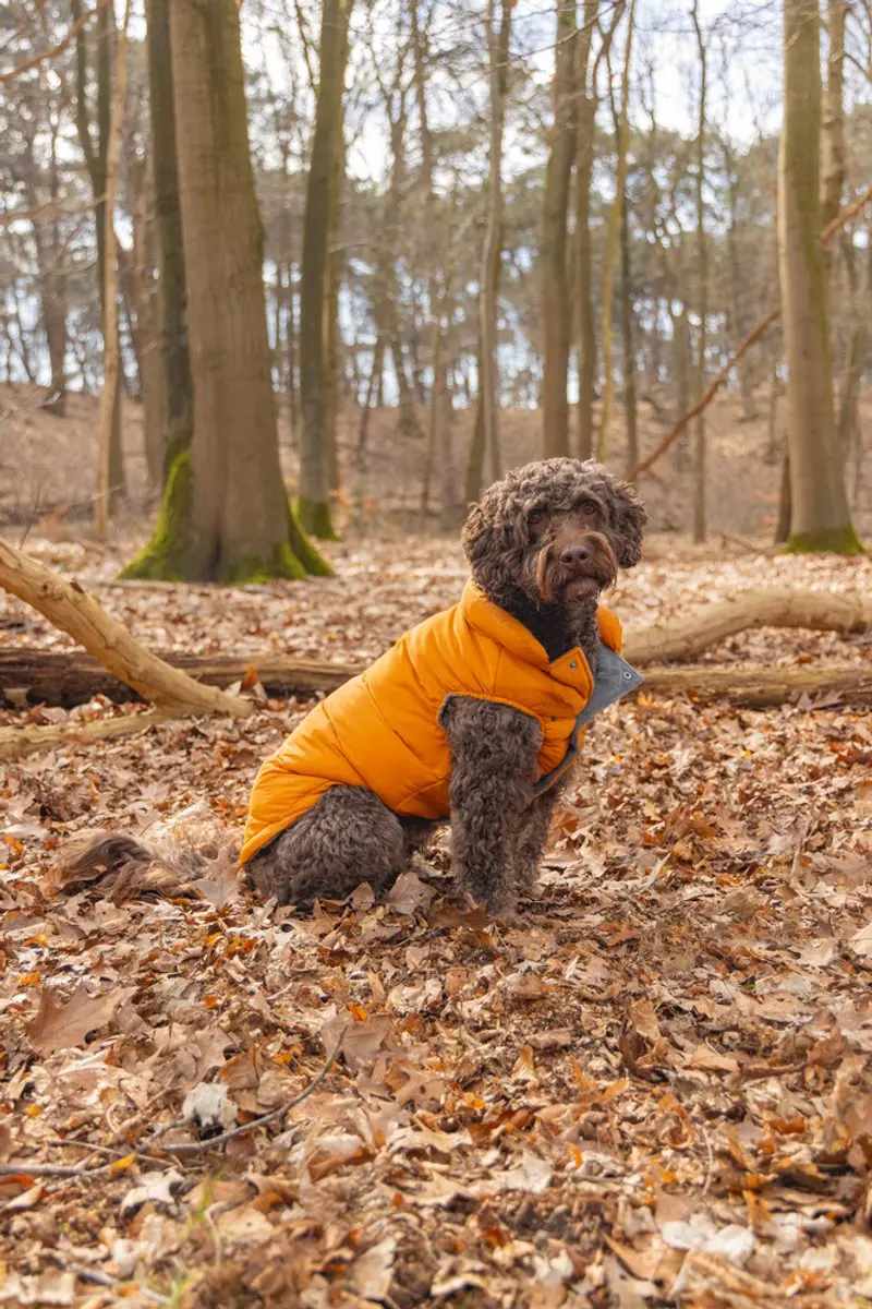 Beeztees Wisti Hondenjas - Oranje - 56 cm - afbeelding 6 van 6