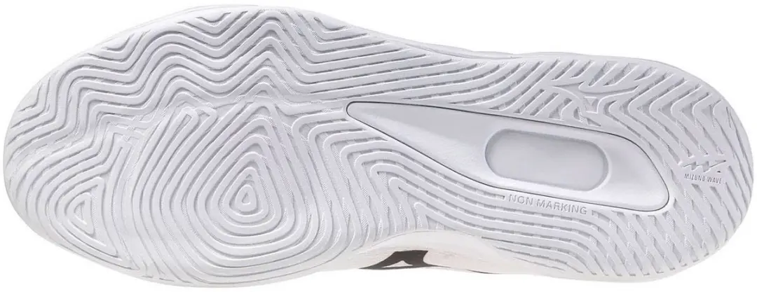 Mizuno Wave Luminous Pro Indoorschoenen 46 - Wit/Zwart