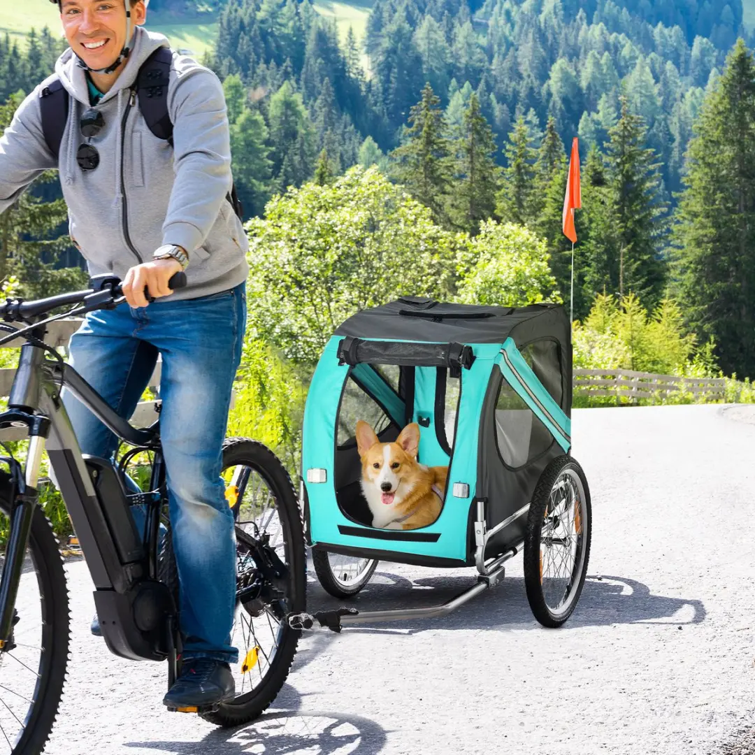 Pawhut Huisdier Fietsaanhanger - Groen