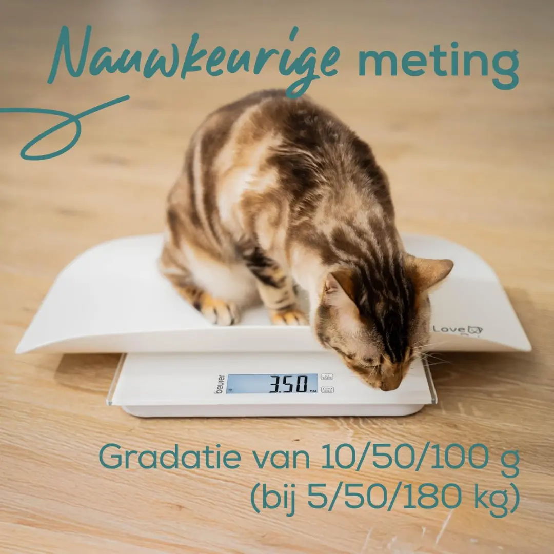 Beurer Polly PP 170 Weegschaal - 180kg Wit - afbeelding 6 van 6