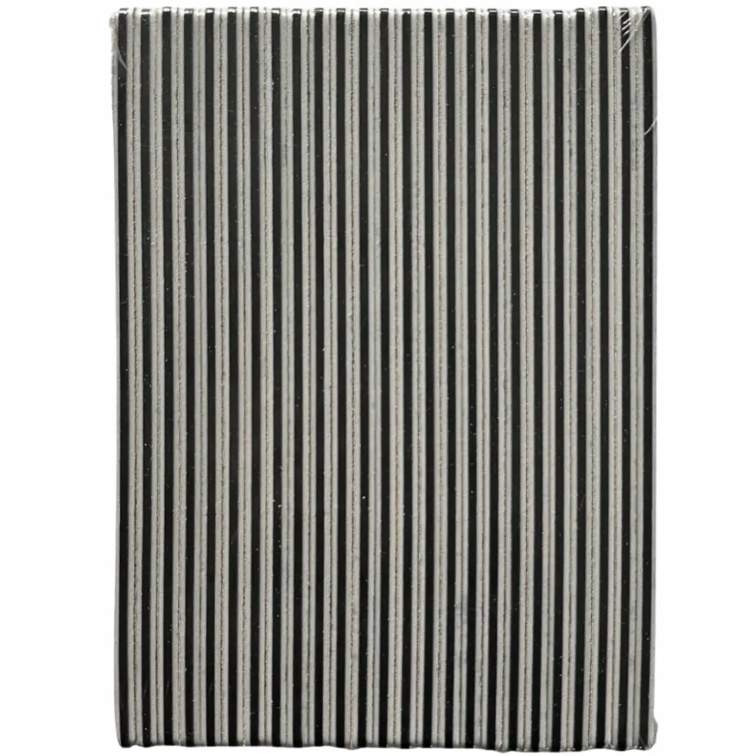 STALEKS Expert 40 Mineraal Vijl 100/180 Grit - 100 Stuks