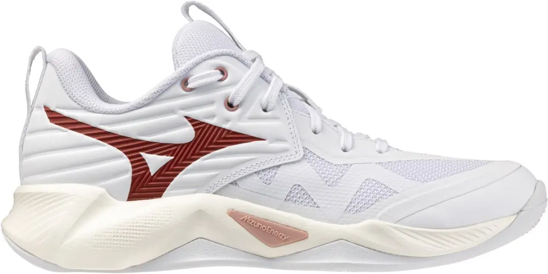 Mizuno Wave Momentum Pro Dames Indoor Schoenen