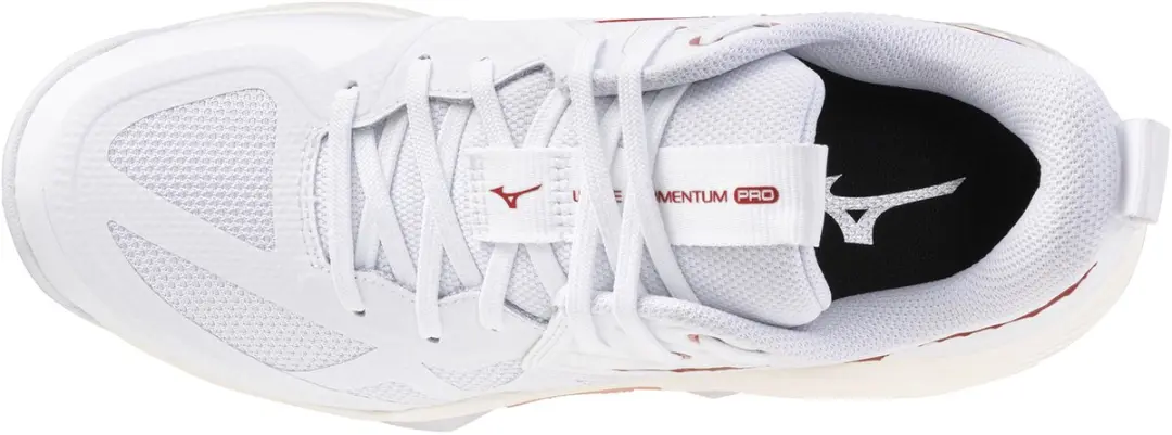 Mizuno Wave Momentum Pro Dames Indoor Schoenen - Wit
