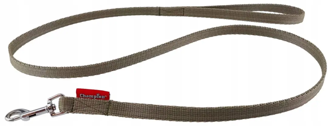 Champion Honon Hontern Klasssi 120C Radiozender