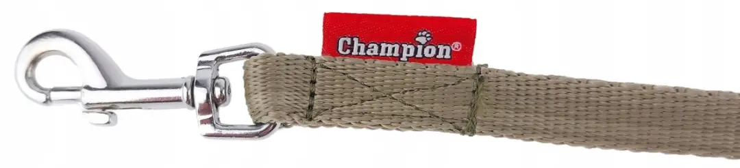 Champion Honon Hontern Klasssi 120C Radiozender