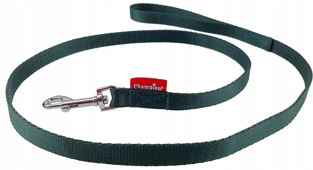 Champion Hondenlijn Groen 120cm